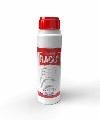 RAGU XXL